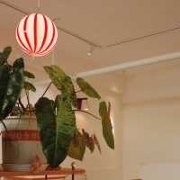 鐵皮卡|這家小店藏著特別的罐裝冷萃和滿屋綠光