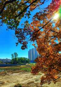 大連西山水庫賞楓指南：藏在市區的秋日限定紅韻