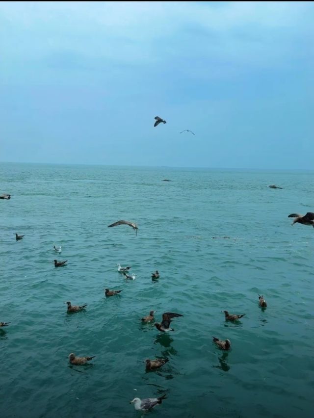 黃渤海分界線|晴天vs雨天,到底哪個更絕? 黃渤海分界線|晴天vs雨天,到底哪個更絕?