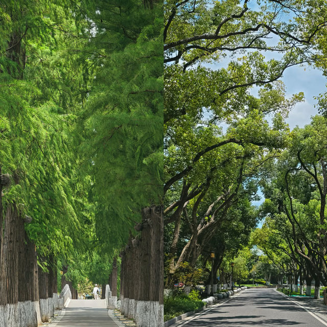武漢錯峰遊｜本地人私藏路線+寶藏酒店挖到了