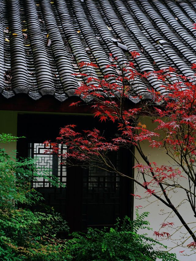 重慶｜石門公園的「新中式」雨天美學