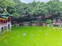 歡迎來鵝嶺公園遊玩打卡