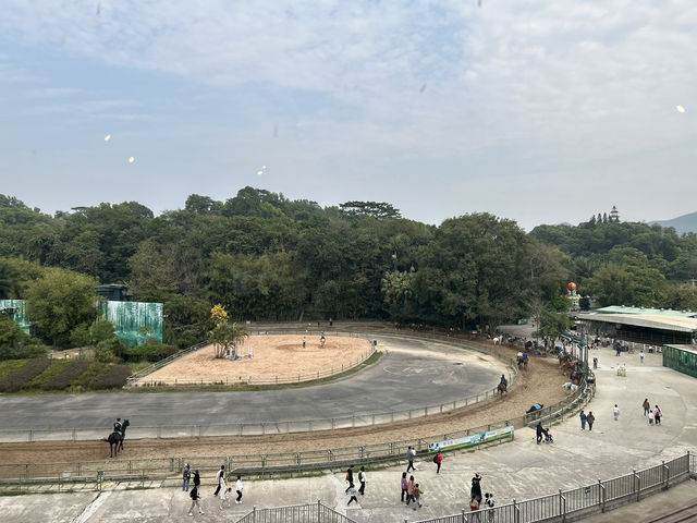 🐅 深圳野生動物園｜邊喝咖啡邊看「百獸盛宴」的奇幻體驗