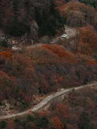 合肥周邊遊推薦:馬丁公路賞秋全攻略
