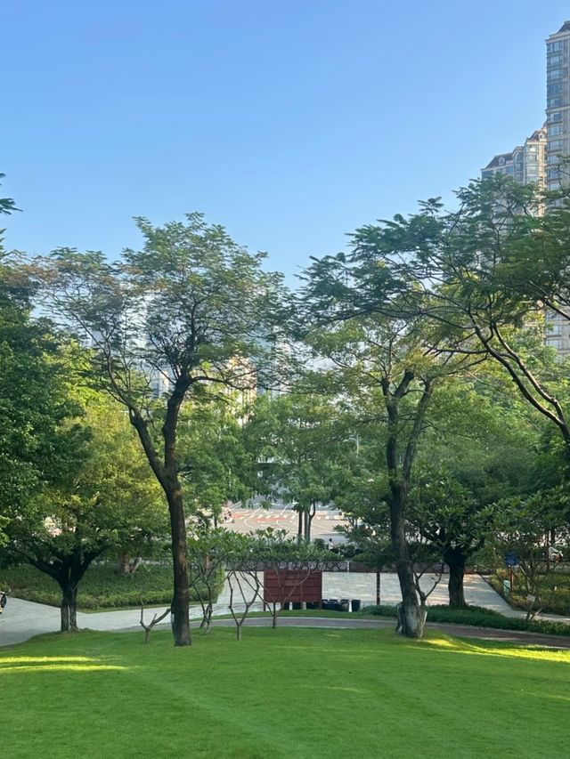 千燈湖畔小眾拍攝地