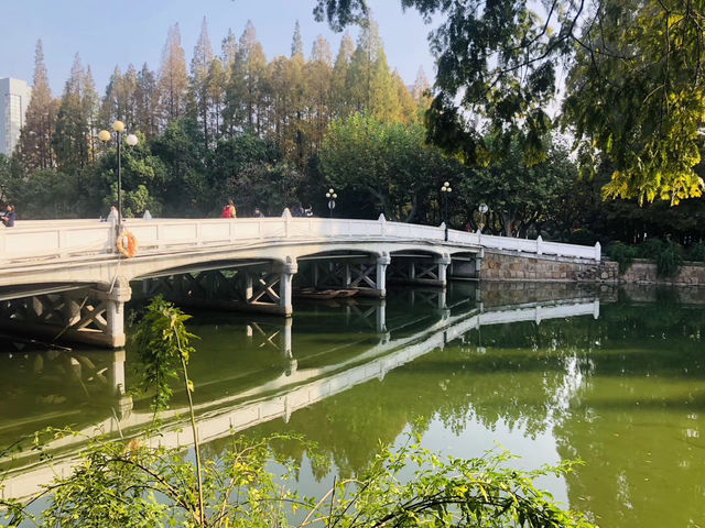 探秘上海華東師範大學普陀校區，邂逅百年學府的詩意與浪漫！