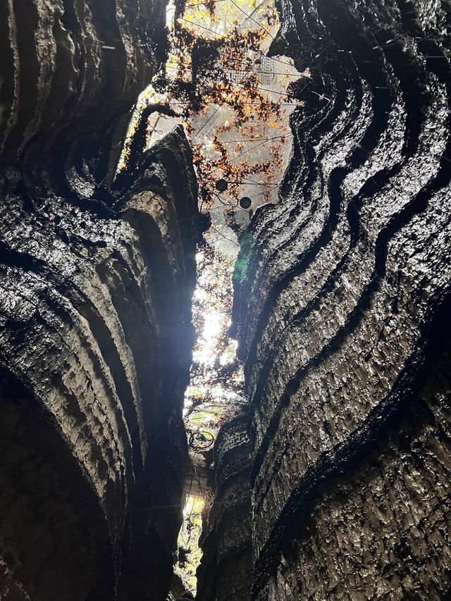 從出發到離開時時關心我們的旅遊狀態，在初期規劃時已經達到我心中70%的期待行程了，越到接近出發時間，