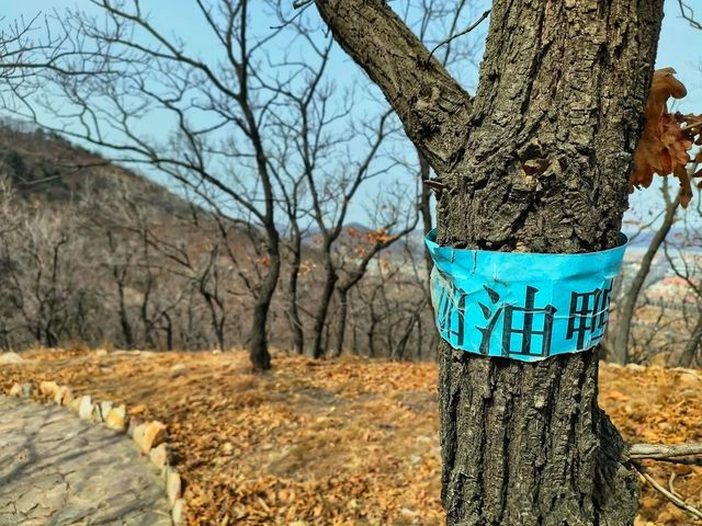大連金狐山:藏在金石灘的山海秘境,新手也能輕鬆解鎖全景浪漫 大連金狐山:藏在金石灘的山海秘境,新手也能輕鬆解鎖全景浪漫