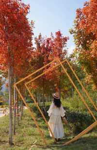 廣東人的浪漫闖入童話般的紅葉秋天!