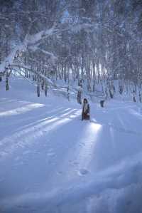 烏魯木齊往返6-8天冰雪秘境指南