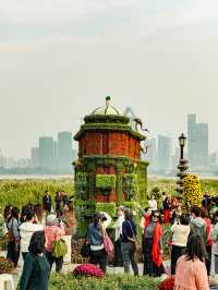 來武漢江灘賞菊吧