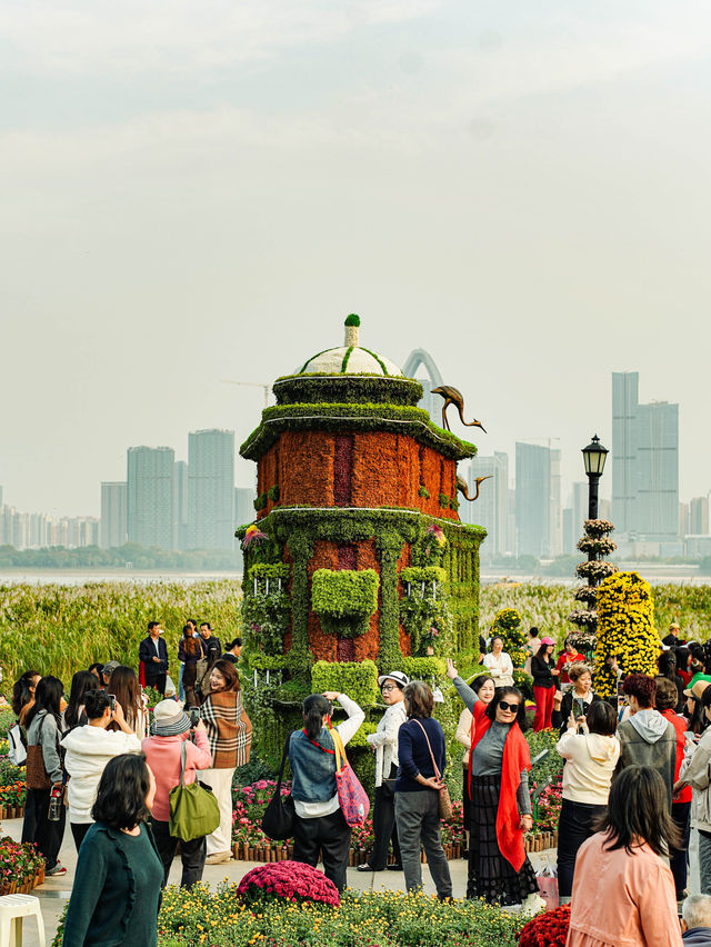 來武漢江灘賞菊吧