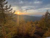 內蒙古蘇木山,墜入北境金色油畫