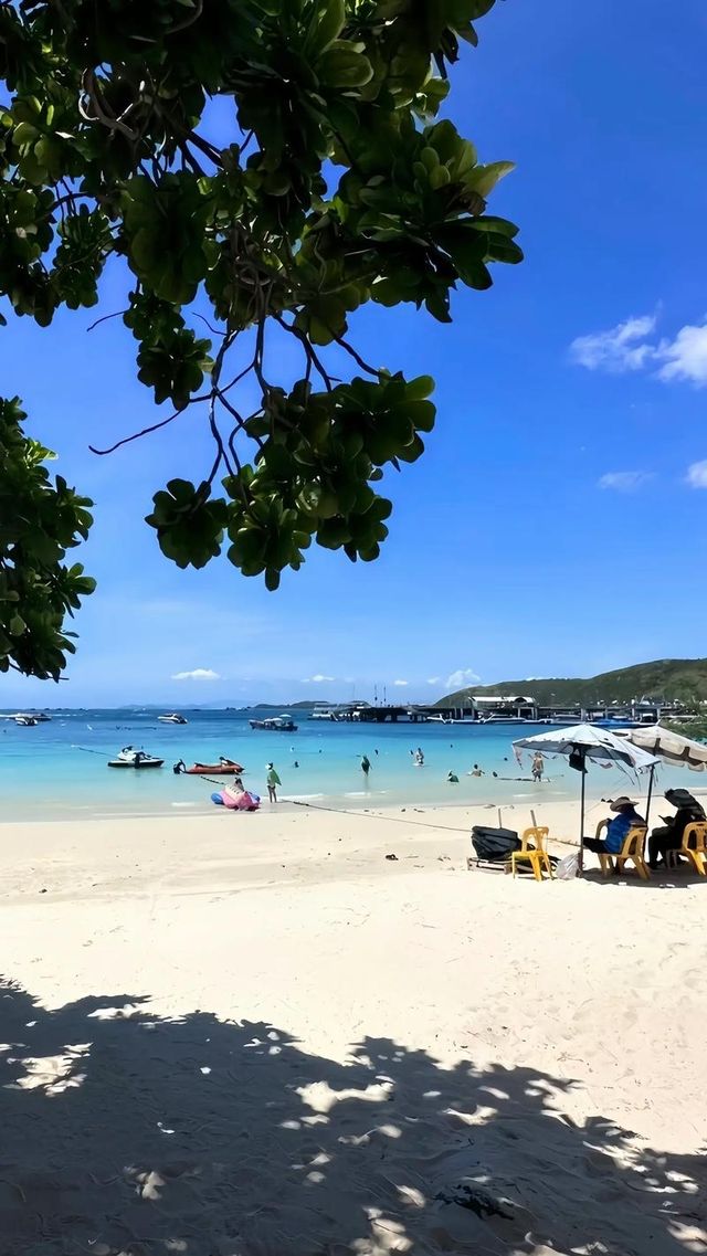 泰國格蘭島必玩攻略|浮潛+摩托艇+降落傘嗨翻天! 泰國格蘭島必玩攻略|浮潛+摩托艇+降落傘嗨翻天!