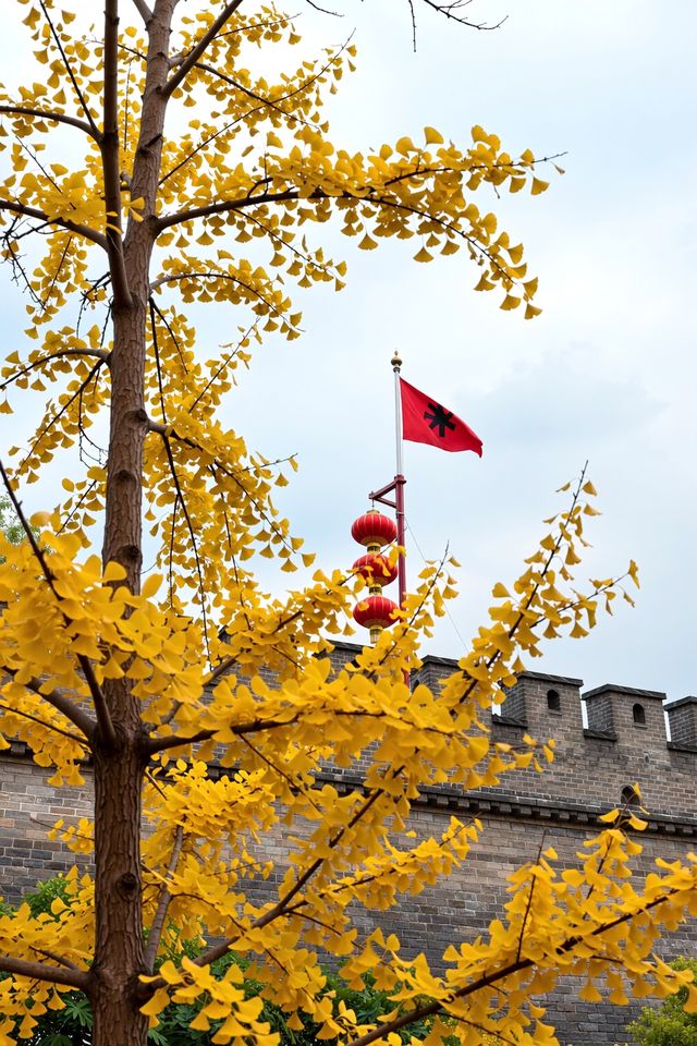 千年西安的秋日震撼到失語