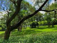 獨享靜謐花海秘境