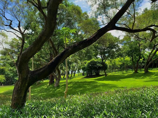 獨享靜謐花海秘境