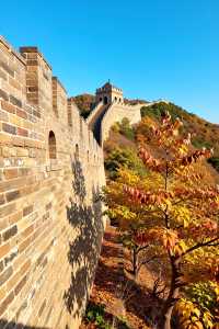 發現一個寶藏景點——喇叭溝門原始森林公園