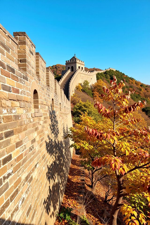 發現一個寶藏景點——喇叭溝門原始森林公園