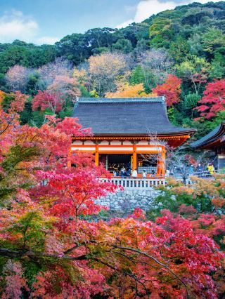 Kiyomizu-dera Autumn Leaves Season Ultimate Guide: A Must-Visit Spot for Detective Conan Fans!
