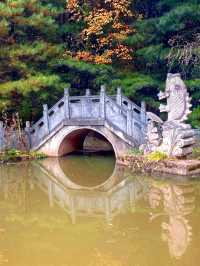 甘肅私藏！天水才是絲路真寶藏，彩林+千年人文美到失語