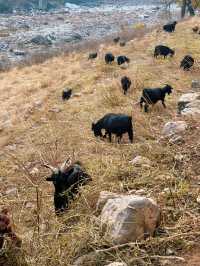 南太行秋日徒步