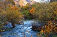 川西小眾秘境｜松坪溝的秋天美到窒息