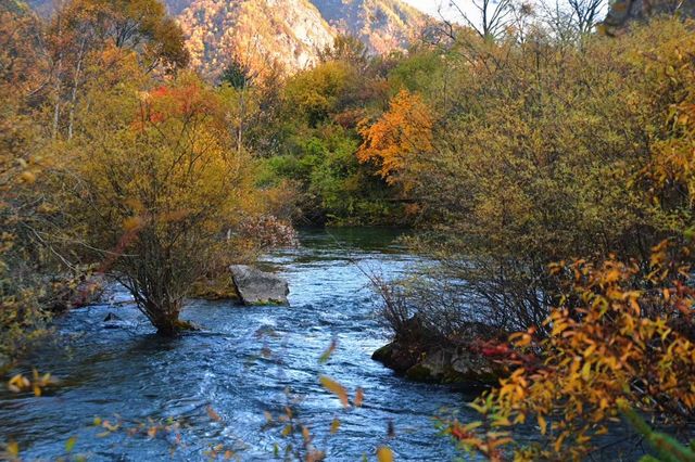 川西小眾秘境｜松坪溝的秋天美到窒息