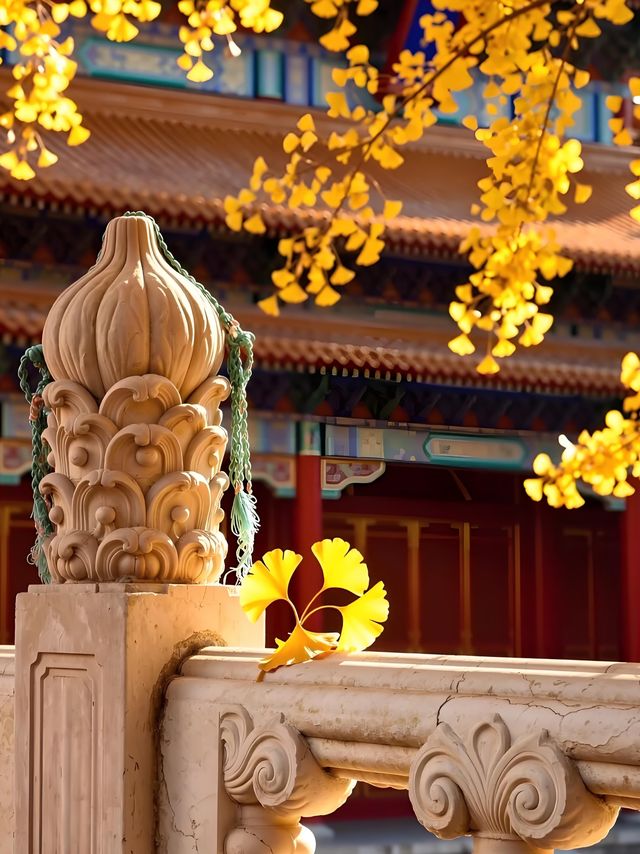 天水古城｜這座被低估的絲路遺珠藏了多少驚喜！