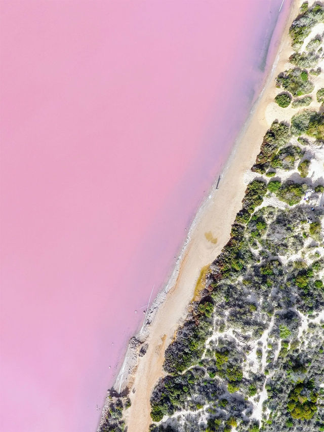 來西澳可選的跟團遊合集|2-5日遊隨心選