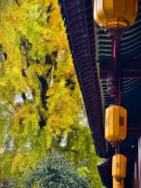 為了這扇秋日限定的窗，我專門去了趟崇州