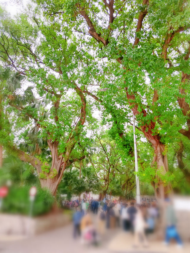 澳門地標大三巴牌坊及周邊的攻略，請收藏