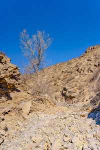 呼市小眾雪景｜紅石崖美到心巴上