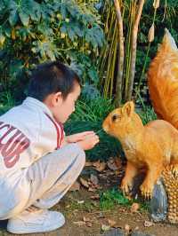 解鎖金陵秋日限定浪漫