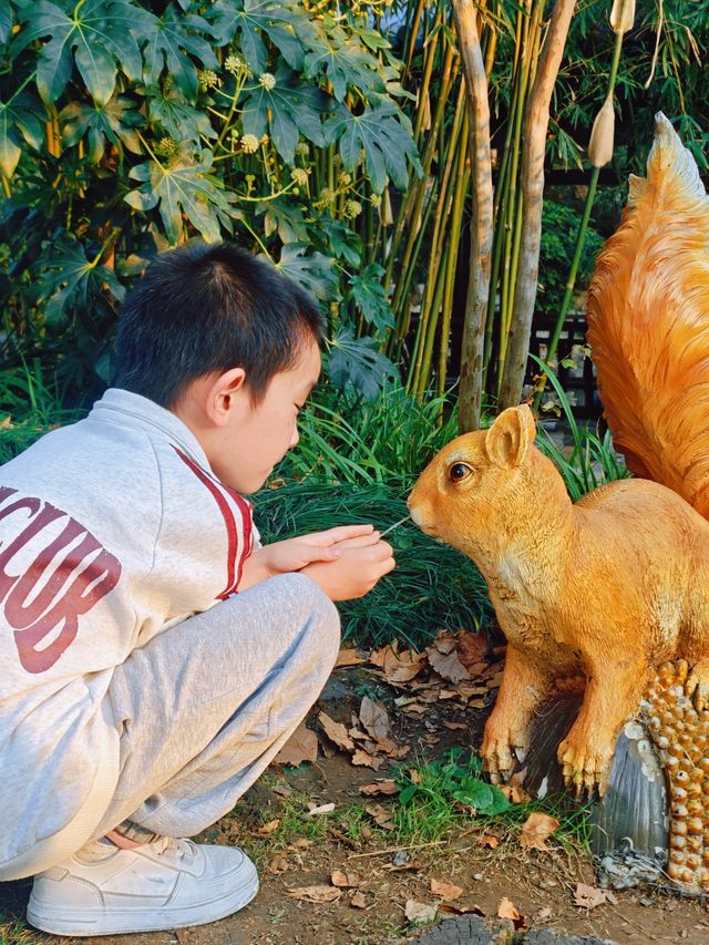 解鎖金陵秋日限定浪漫