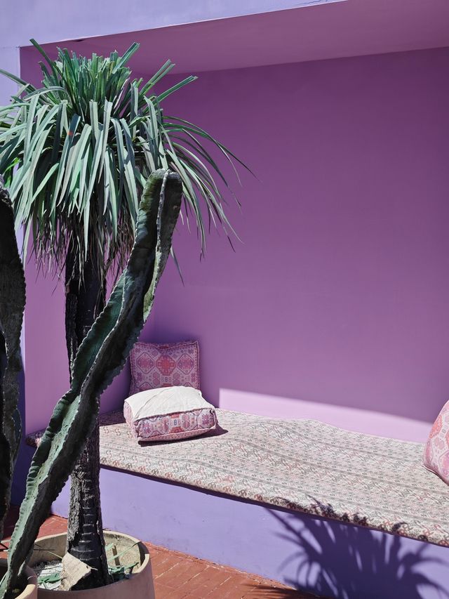 我宣佈找到杭州高空酒店的天花板了！