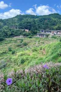 沉浸800年古村的曬秋畫卷與人間煙火