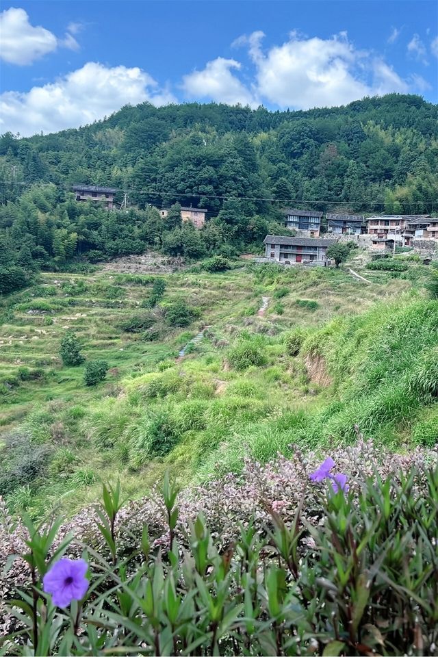 沉浸800年古村的曬秋畫卷與人間煙火 沉浸800年古村的曬秋畫卷與人間煙火