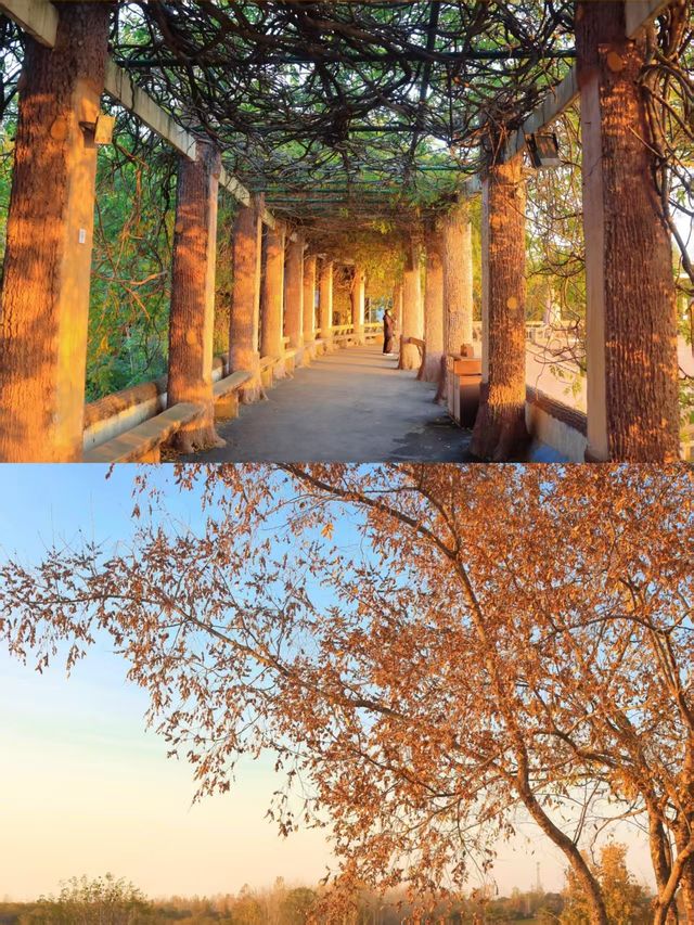 徐州私藏秋景｜馬陵山避世賞楓攻略