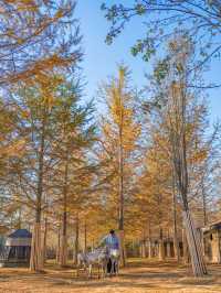 江浙滬這座寶藏樂園！已經被這裡動物萌化了