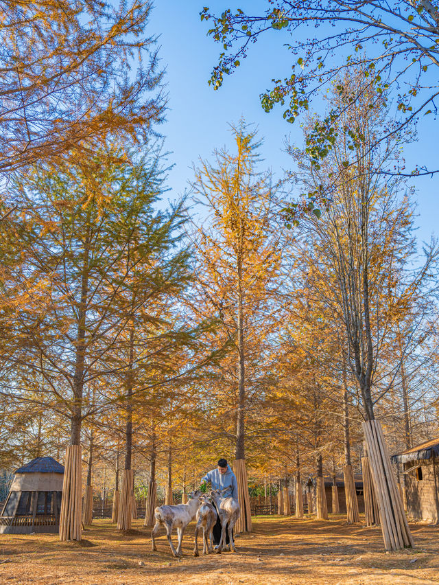 江浙滬這座寶藏樂園！已經被這裡動物萌化了