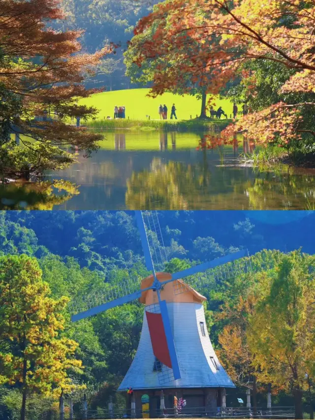 杭州秋日天花板！太子灣「小瑞士」秋色爆美，避坑攻略速碼