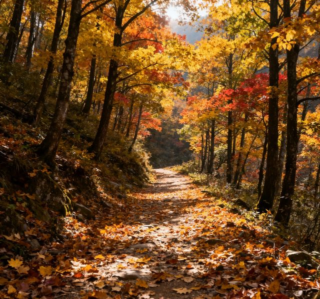 秋季徒步天花板｜黃陂屁屁溝，小眾秘境美到封神！