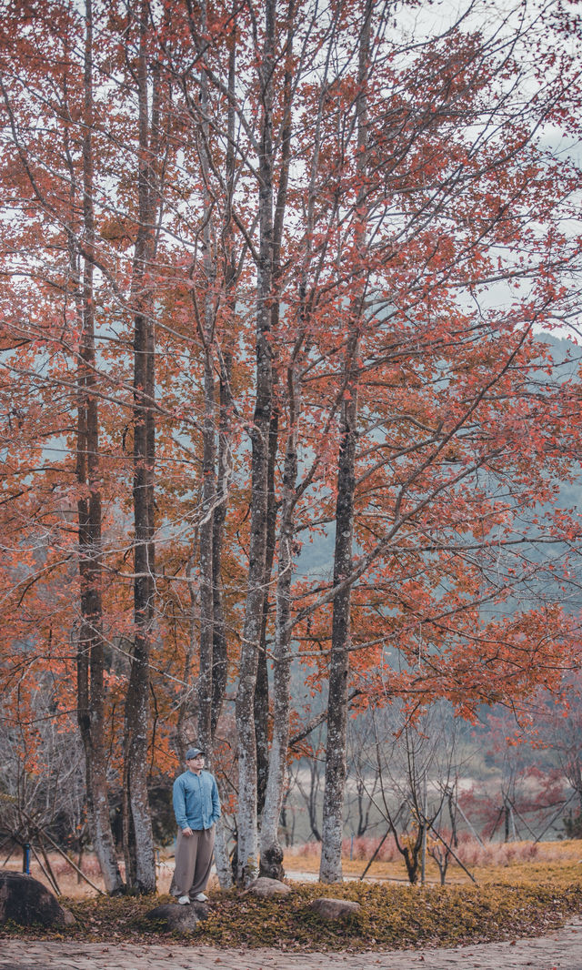 接下來的韶關,將是上帝打翻的調色盤! 接下來的韶關,將是上帝打翻的調色盤!