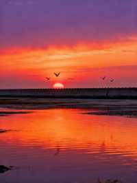 日出封神！南匯東灘濕地無痕遊玩+福利攻略