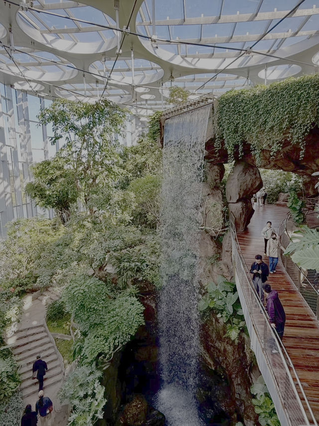 Shanghai’s Ultimate Urban Jungle Adventure🎉: Parent-Child Weekend Guide 🌿🤩 Shanghai’s Ultimate Urban Jungle Adventure🎉: Parent-Child Weekend Guide 🌿🤩