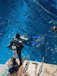 秋遊必看10天玩轉埃及超全攻略