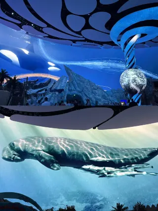 UAE Trip|Luxury and Family-Friendly Can Truly Coexist!