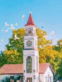 江浙賞秋地圖｜最美私藏地