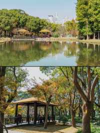 上海｜世紀公園的城市秋居畫卷